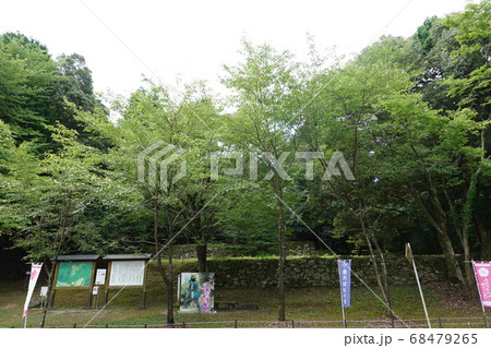 妻木城士屋敷跡 妻木城士屋敷跡 68479265