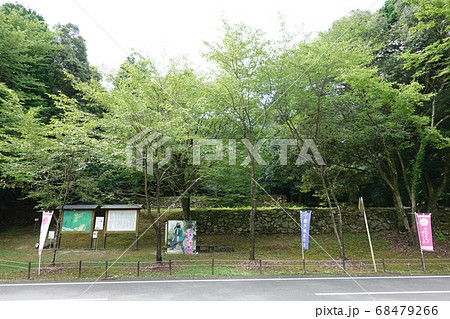 妻木城士屋敷跡 68479266