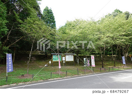 妻木城士屋敷跡 妻木城士屋敷跡 68479267