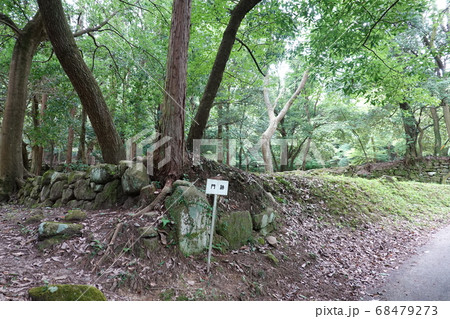 妻木城士屋敷跡 68479273