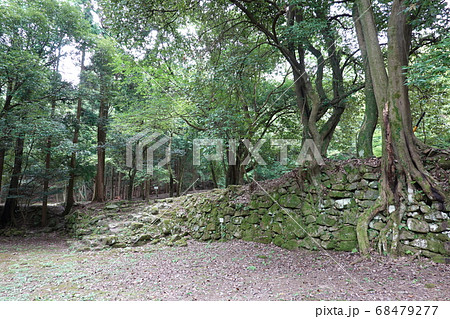 妻木城士屋敷跡 妻木城士屋敷跡 68479277