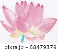 大輪のハスの花のパステル画 68479379
