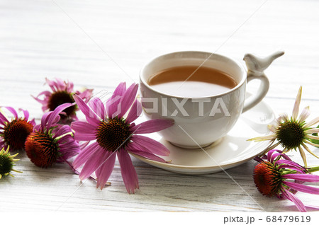 Echinacea tea with lemon and fresh flowers. Echinacea tea with lemon and fresh flowers. 68479619