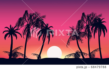 Sunset And Silhouettes Of Palm Trees Tropical のイラスト素材