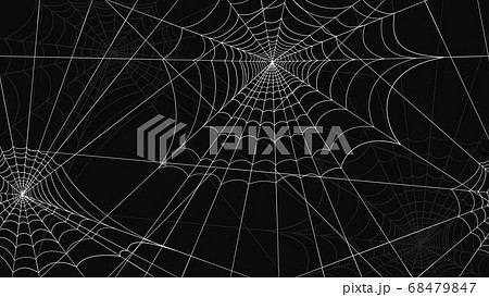 Spider web pattern seamless. White spider web drawings on black background. 68479847