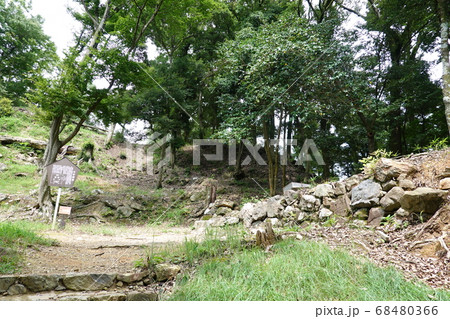 美濃金山城跡 68480366