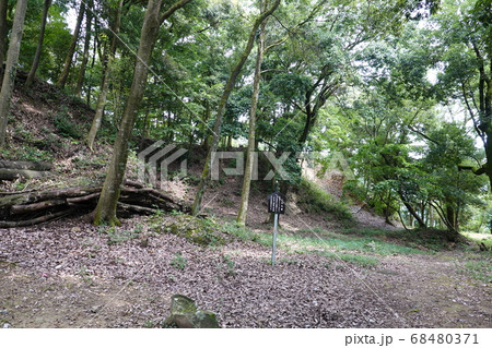 美濃金山城跡 68480371