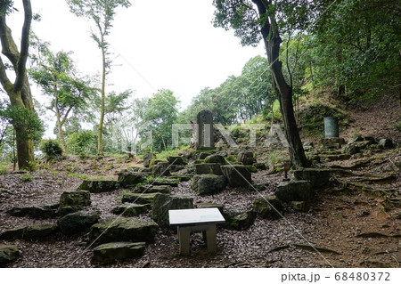 美濃金山城跡 68480372