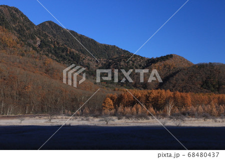 早朝の小田代ヶ原紅葉 早朝の小田代ヶ原紅葉 68480437