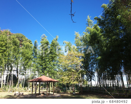 たけのこ公園 68480492