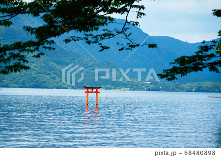 九頭龍の森_No5 68480898