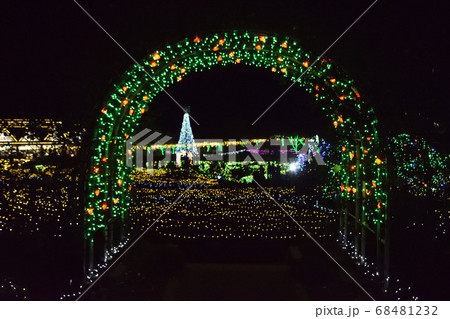 恋人の聖地フラワーパークイルミネーション 恋人の聖地フラワーパークイルミネーション 68481232