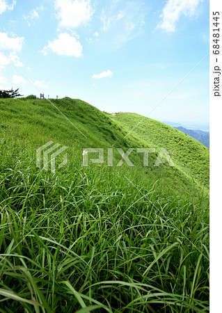 岩湧山の夏 岩湧山の夏 68481445