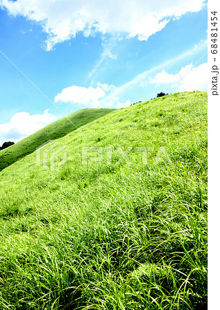 岩湧山の夏 68481454