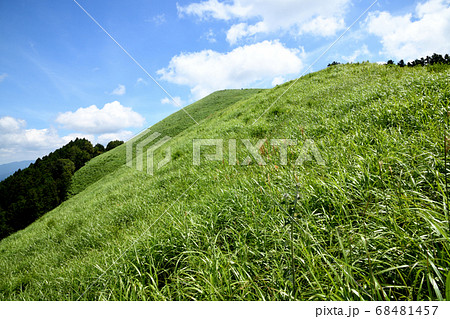 岩湧山の夏 68481457