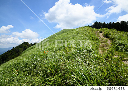 岩湧山の夏 68481458