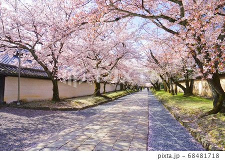 醍醐寺、伏見区、京都市、京都府、日本 68481718