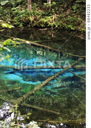 神の子池(北海道清里町) 神の子池(北海道清里町) 68482233