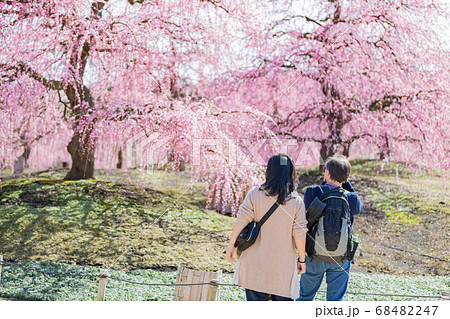夫婦が鈴鹿の森庭園の梅を眺め春を感じる 68482247