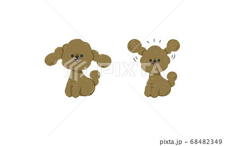 手描きの子犬 ベクターイラスト（トイプードルお座り） 68482349