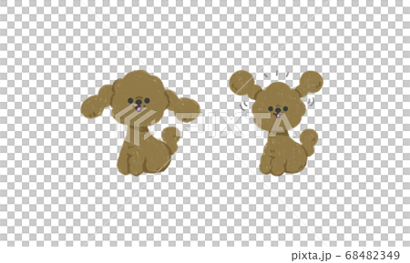 手描きの子犬 ベクターイラスト（トイプードルお座り） 68482349