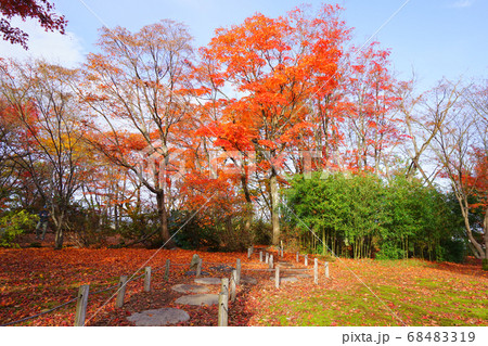 もみじ園、長岡市、新潟県、日本 もみじ園、長岡市、新潟県、日本 68483319
