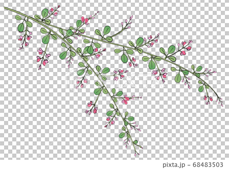 秋の七草　萩　イラスト 68483503