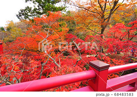 弥彦公園、弥彦村、新潟県、日本 68483583