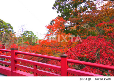 弥彦公園、弥彦村、新潟県、日本 68483586