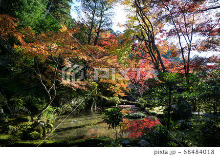 紅葉に染まる金剛輪寺 紅葉に染まる金剛輪寺 68484018