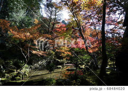 紅葉に染まる金剛輪寺 紅葉に染まる金剛輪寺 68484020