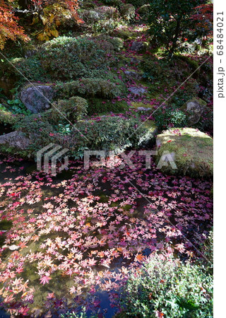 池に浮かぶ紅葉_金剛輪寺 池に浮かぶ紅葉_金剛輪寺 68484021
