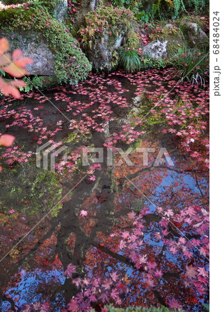 池に浮かぶ紅葉_金剛輪寺 池に浮かぶ紅葉_金剛輪寺 68484024