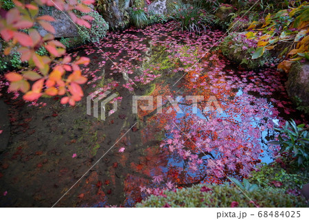 池に浮かぶ紅葉_金剛輪寺 池に浮かぶ紅葉_金剛輪寺 68484025