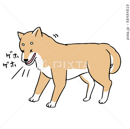 フィラリア（犬糸状虫）に寄生されて咳が出る柴犬の線画イラスト 68484819