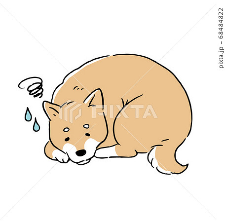 体調不良で元気がない柴犬の線画イラストのイラスト素材