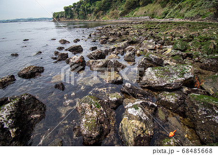 神奈川県横須賀市猿島の海岸 68485668