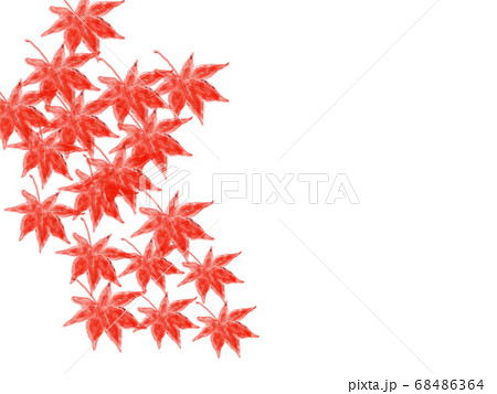 紅葉 手書き風のイラスト素材