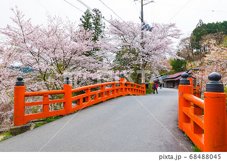 吉野山の桜 散策ルート 春 (奈良県吉野郡吉野町) 吉野山の桜 散策ルート 春 (奈良県吉野郡吉野町) 68488045