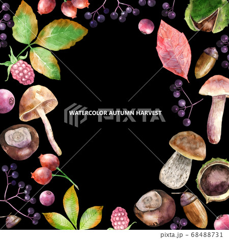 Watercolor border of autumn berries, mushrooms 68488731