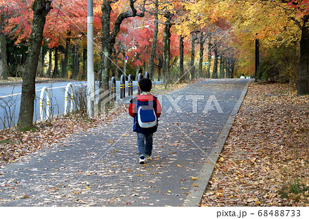 小学生の通学路 小学生の通学路 68488733