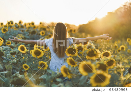 Young beautiful woman having fun in a sunflower field Young beautiful woman having fun in a sunflower field 68489963