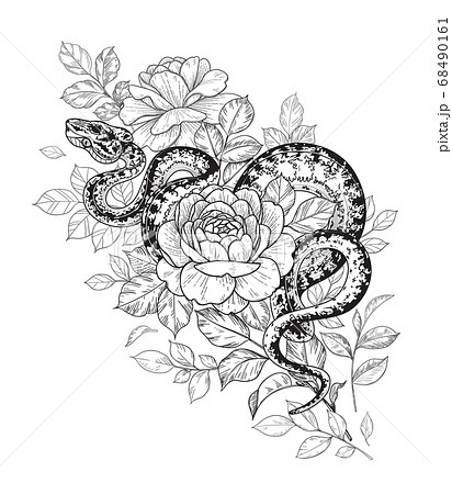 Vector Twisted Snake And Rose Flowersのイラスト素材