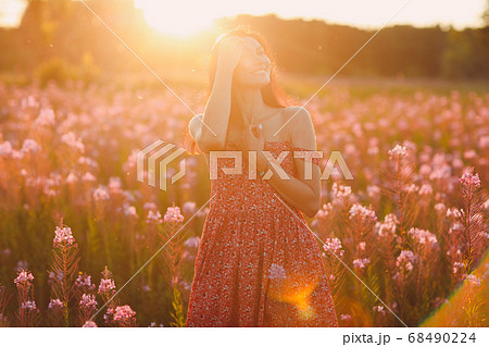 Girl on blooming Sally flower field at sunset. Lilac flowers and woman. Girl on blooming Sally flower field at sunset. Lilac flowers and woman. 68490224