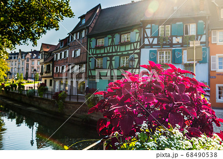 Colorful traditional french houses and shops in Colmar, Alsace, Colorful traditional french houses and shops in Colmar, Alsace, 68490538