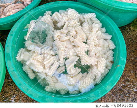 Raw cut squid for sale at outdoor seafood market Raw cut squid for sale at outdoor seafood market 68491302
