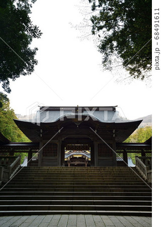 弥彦神社　参道（新潟県） 68491611