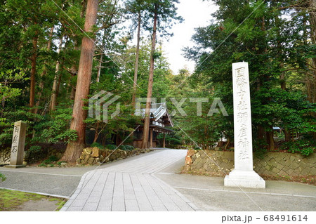 弥彦神社　参道（新潟県） 68491614