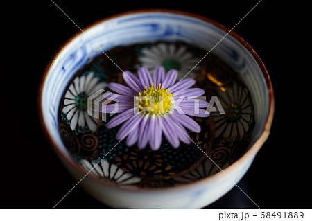 盃に花を浮かべる 68491889