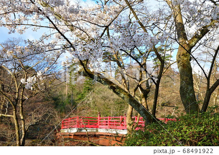 春の紅葉谷公園（新潟県） 68491922